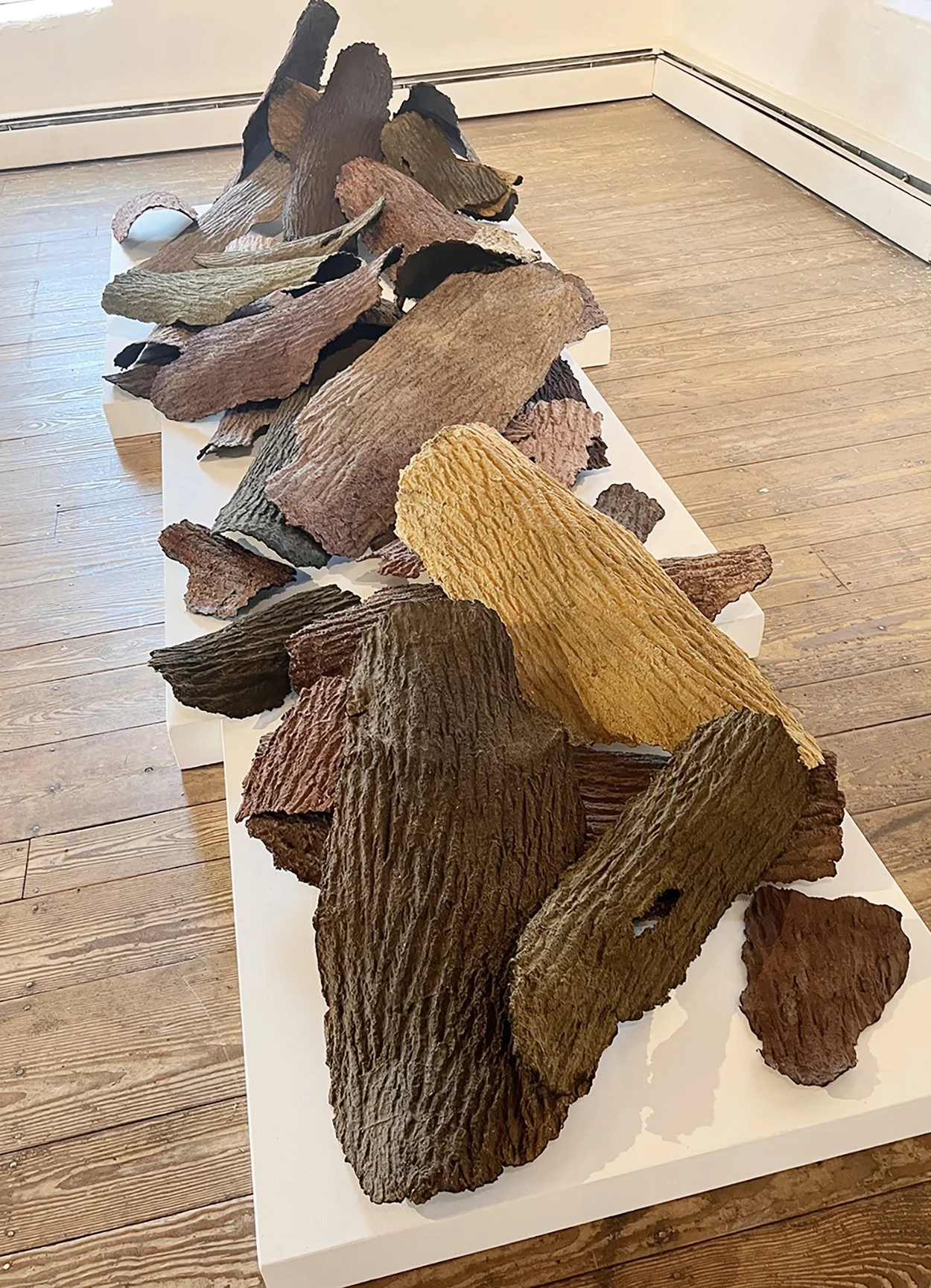 The Earth Remembered Me.jpg