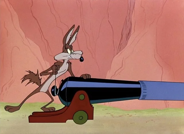 The Wile E. Coyote of Insults