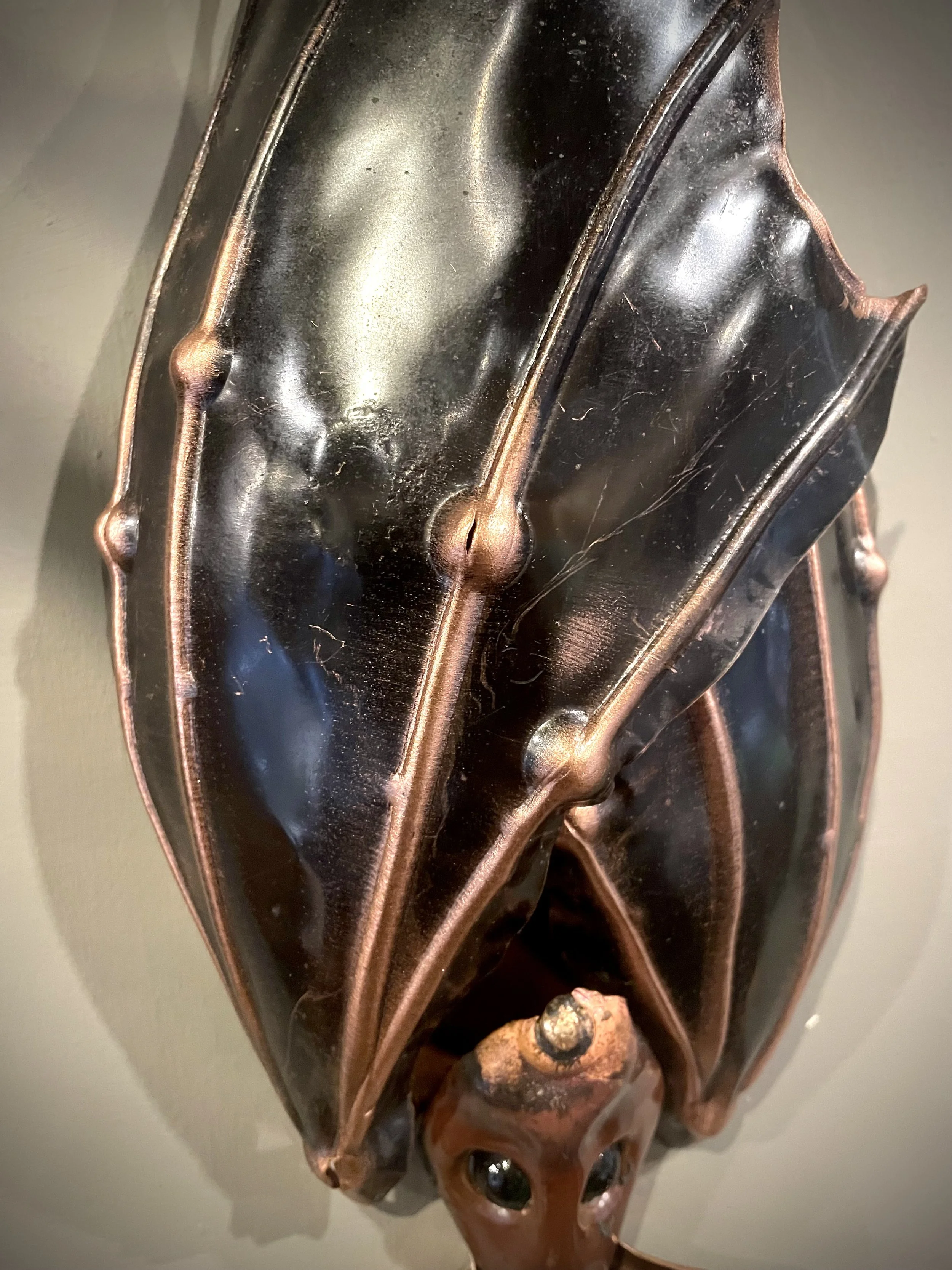 Single copper bat 3.jpg