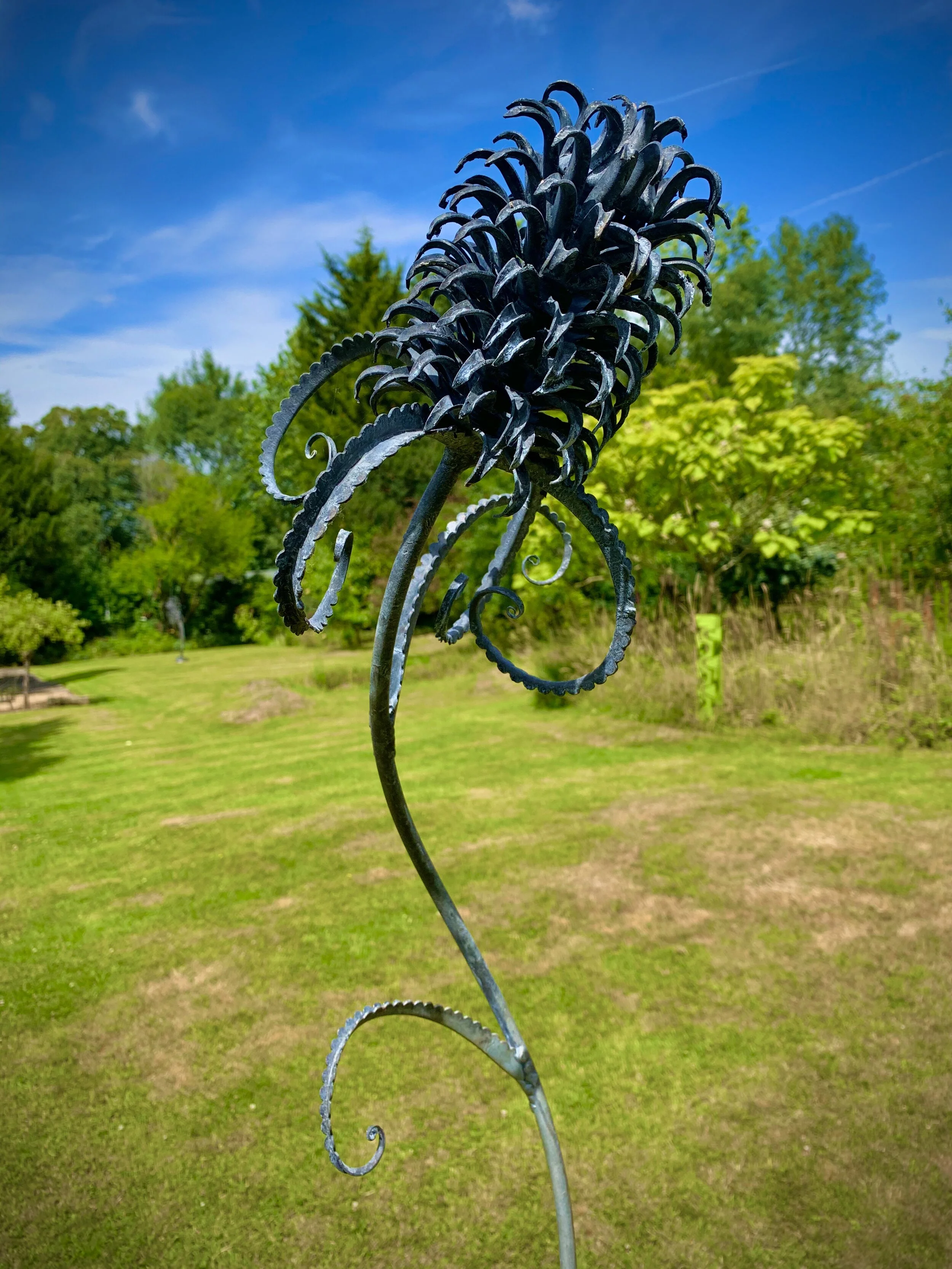 93AA308C-1514-4C80-88F5-65556D9AA06B