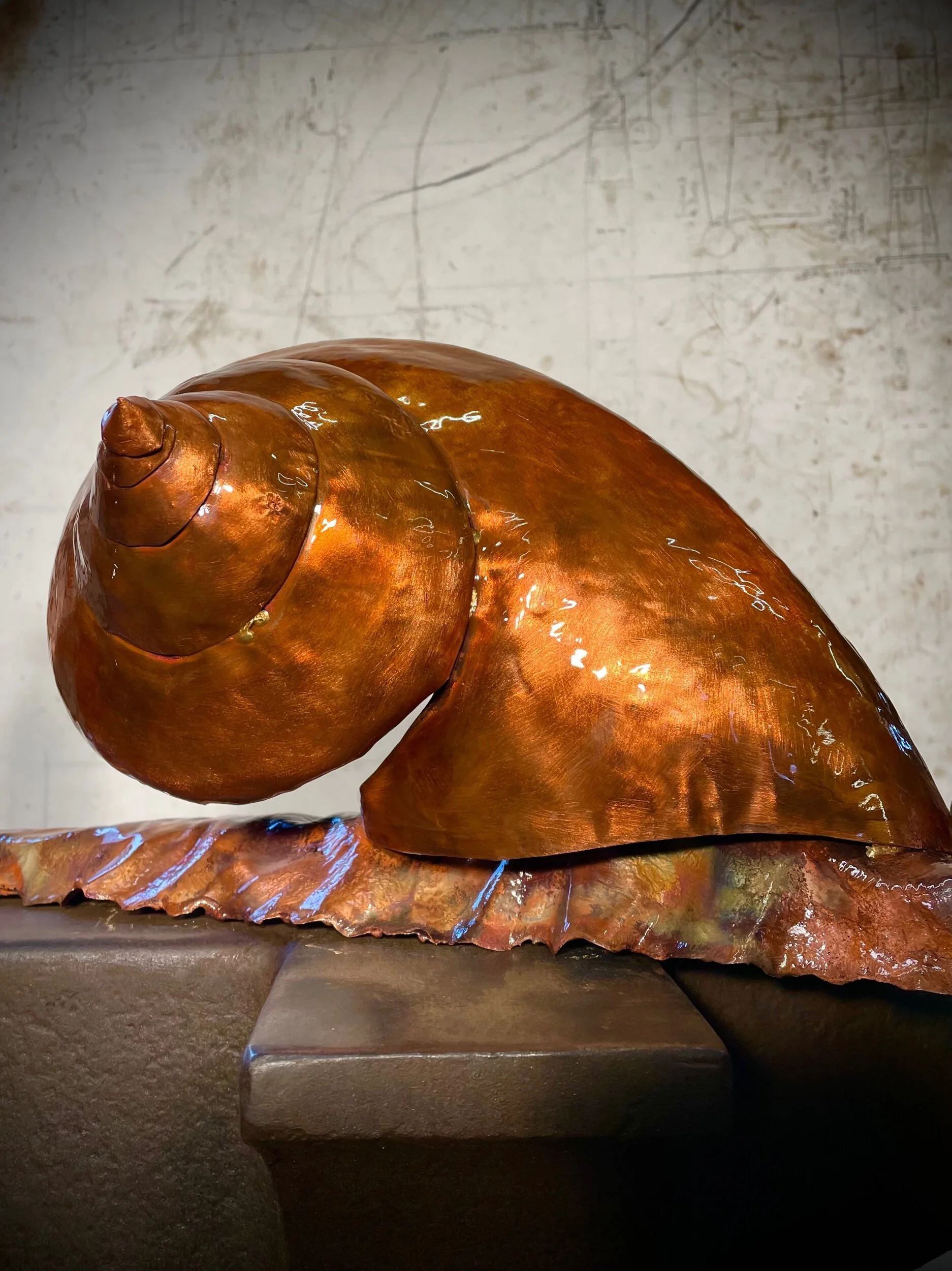 C2293786-006A-4419-AB56-233F2303CF02