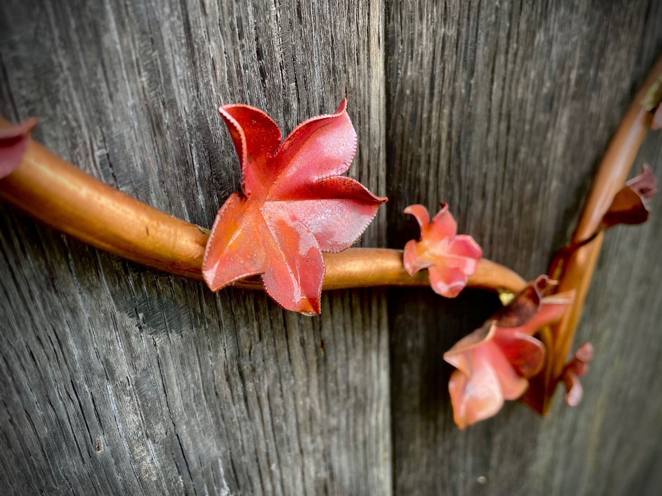 4DA93E64-3C21-4B41-9168-CA6A61864EDF