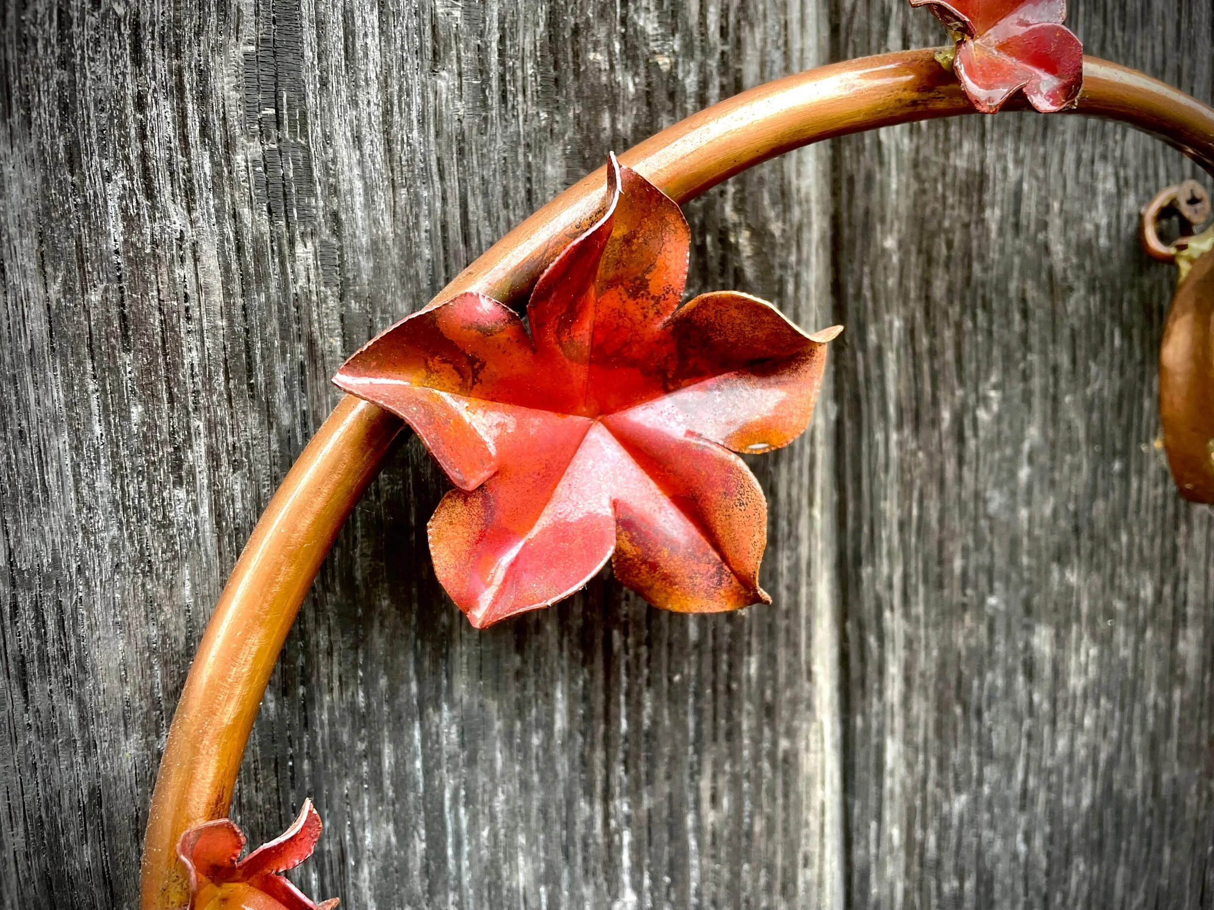 99ADC723-EAA5-405F-AF14-03381BA2FA1B