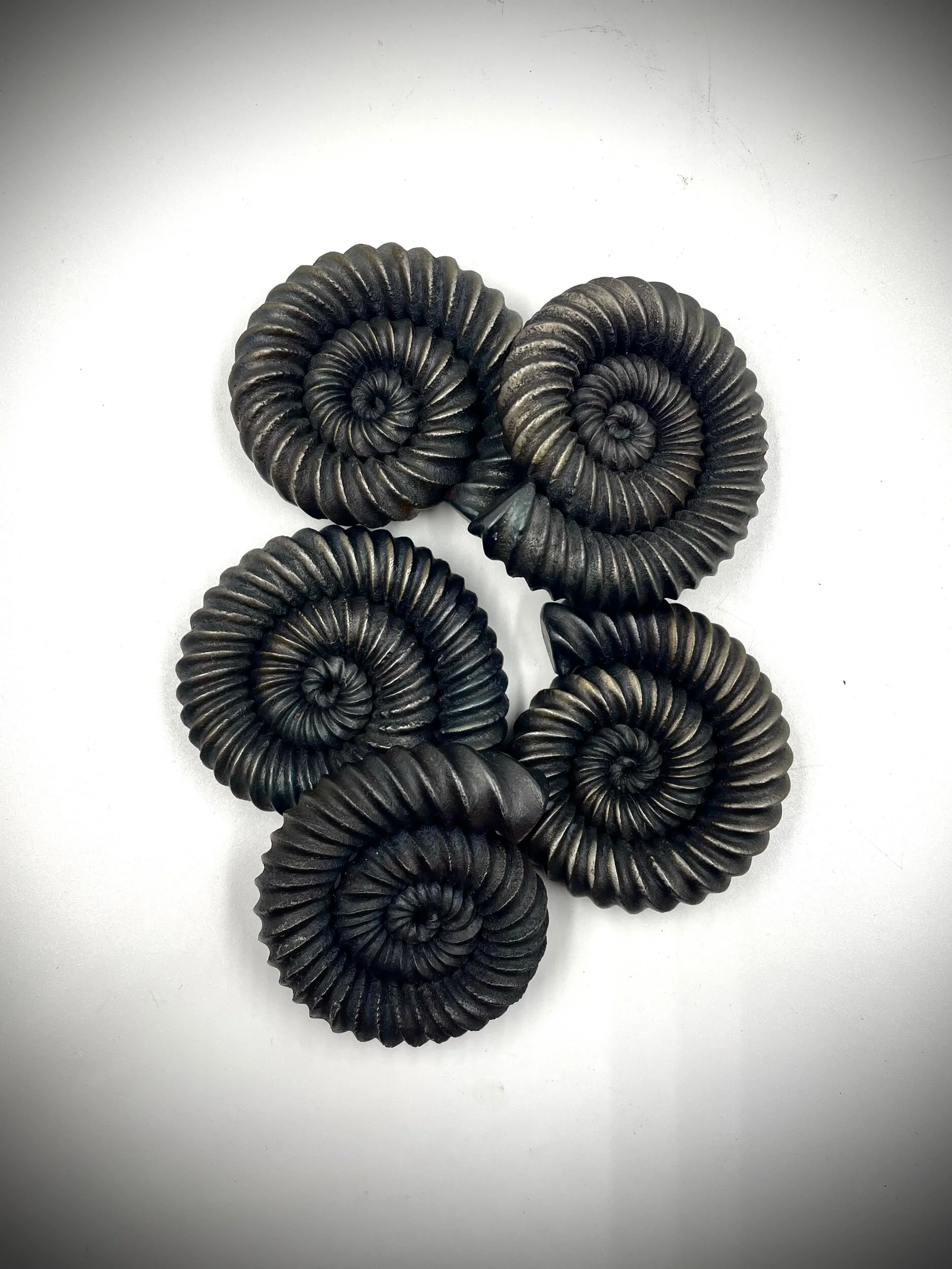 7DAD04EE-24E4-4C86-AA5F-FF1D695C1126