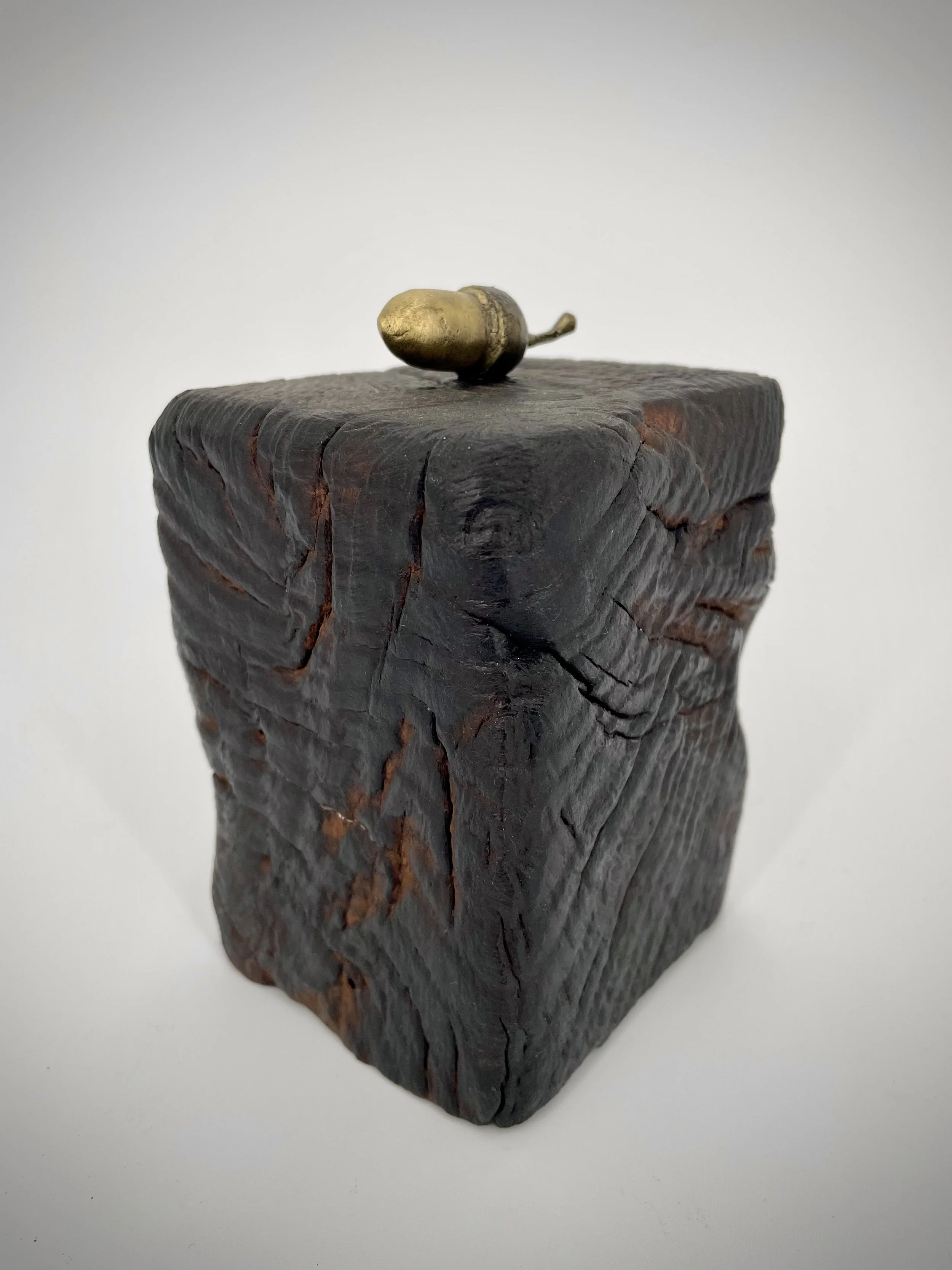 Acorn 1.jpg