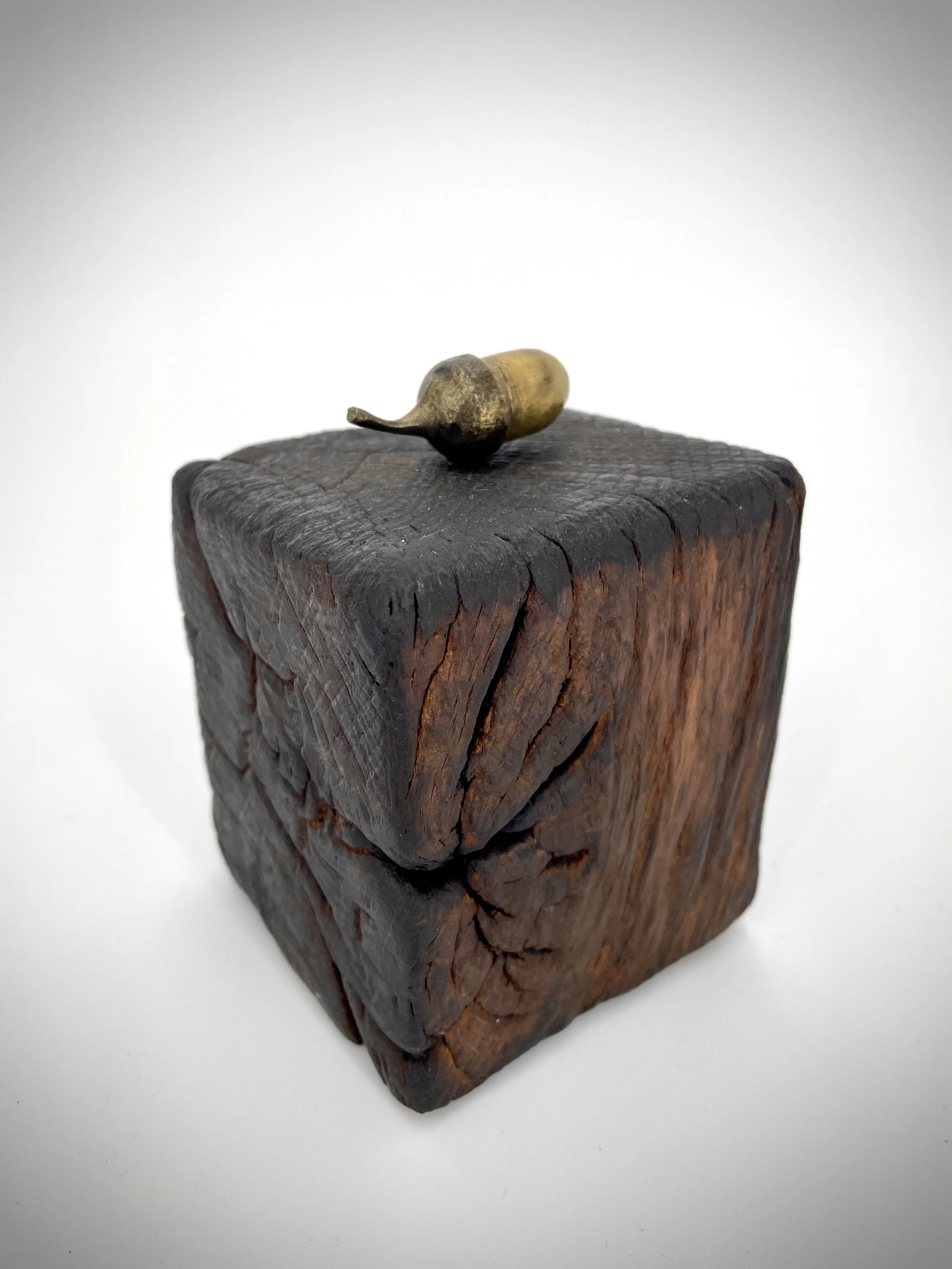 Acorn III interior sculpture artwork 2.jpg