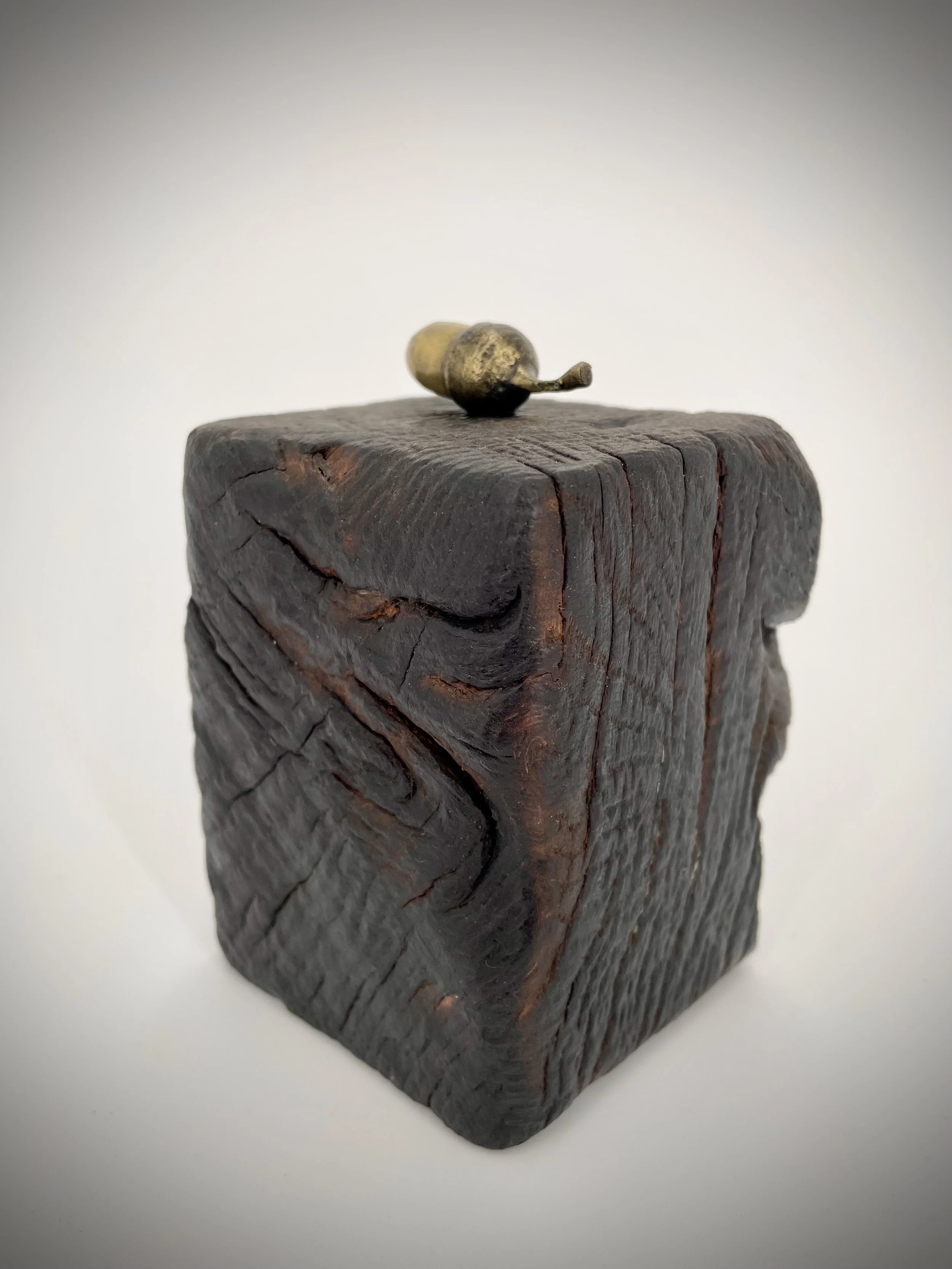 Acorn 3.jpg