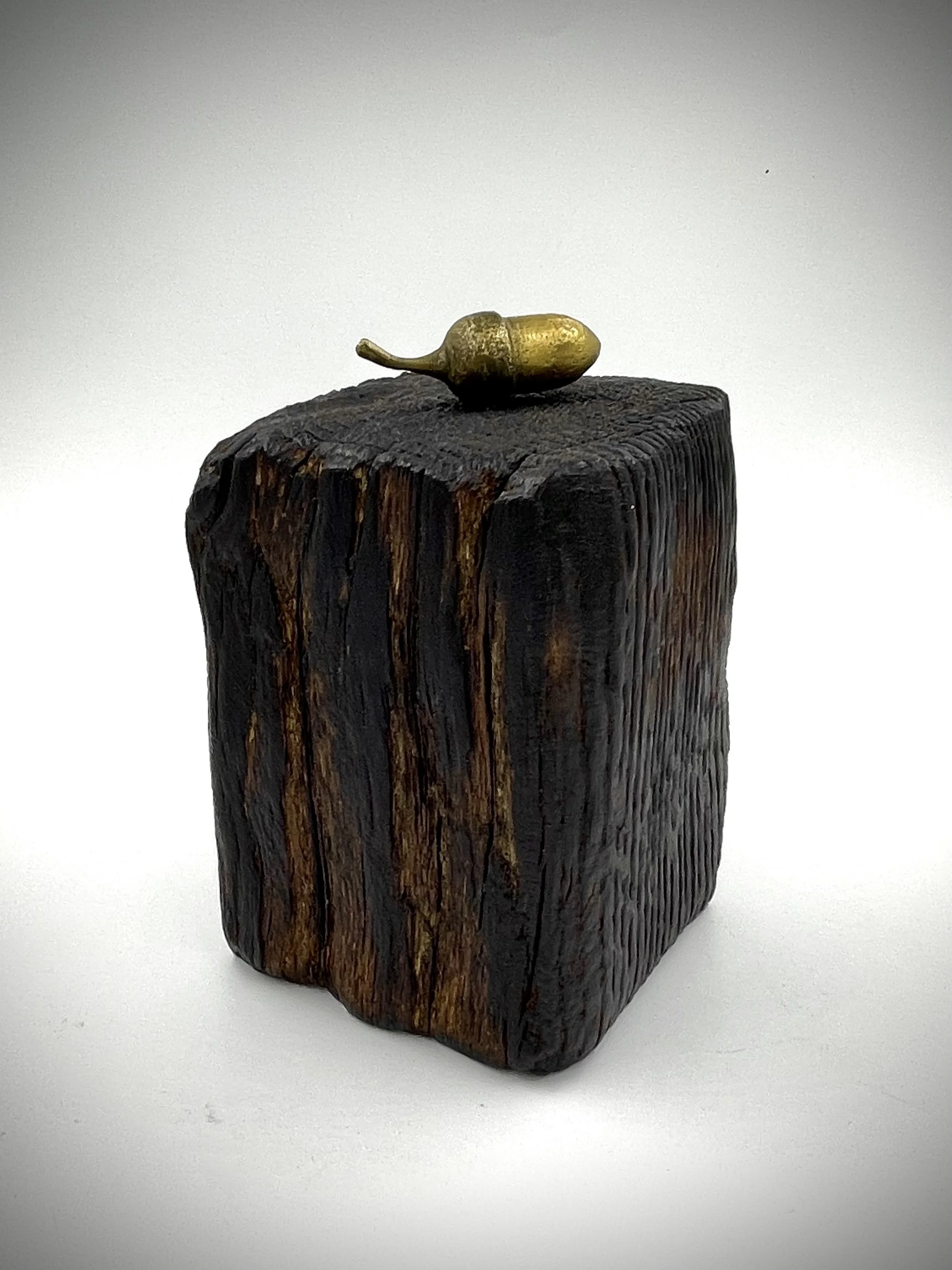 Steel and bronze acorn sculpture.jpg