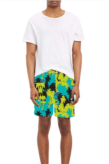 board shorts.jpg