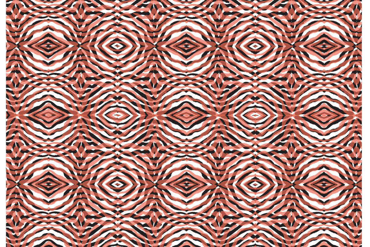 PSV_gbl zebra 415 alt transp-www-white edge.jpg