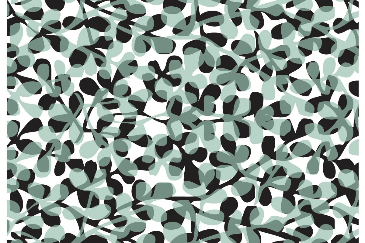PV_OG vines toss 114 transp-www-white edge.jpg