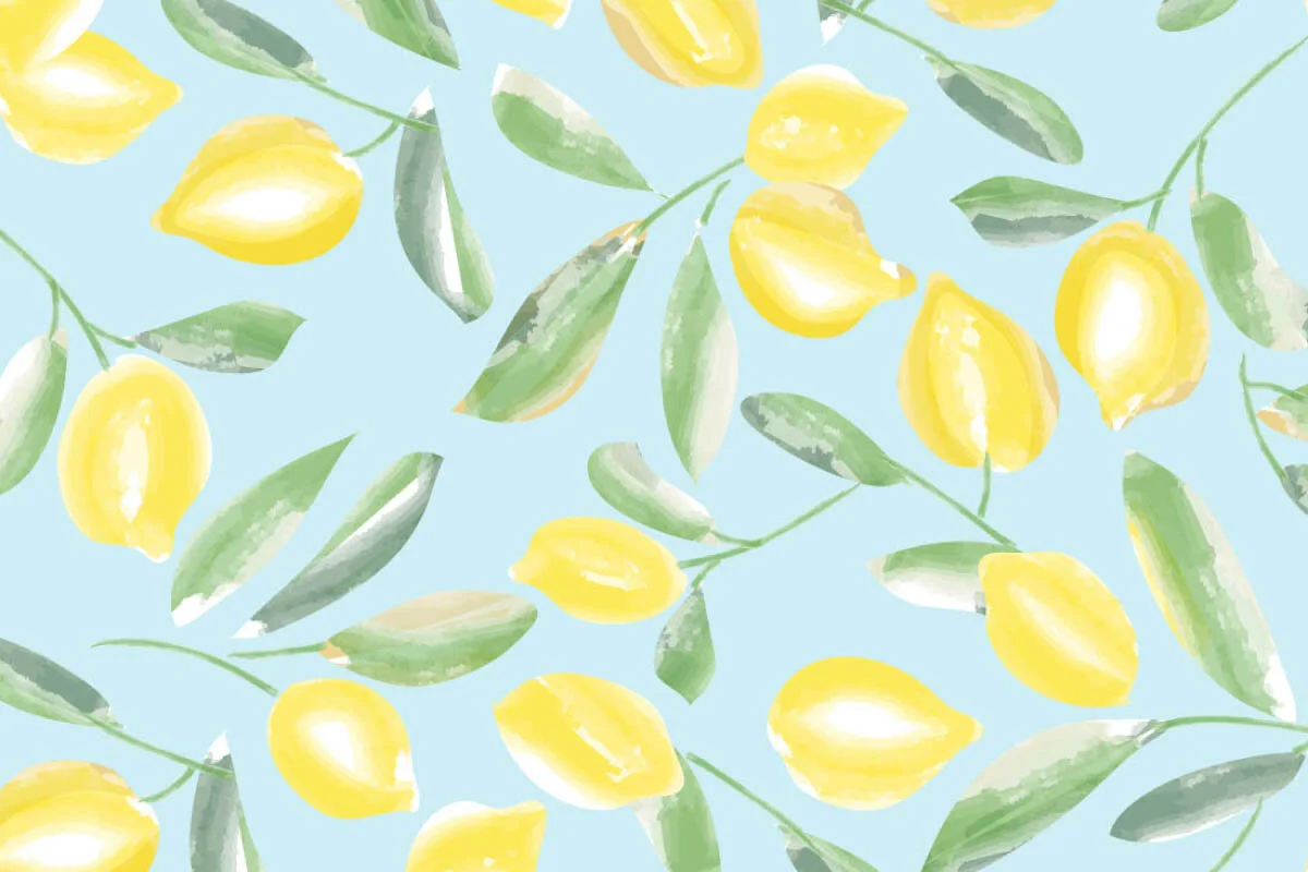PSV920 CO lemons-www.jpg
