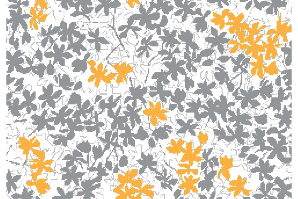 s23_FL digital toss start www25.jpg