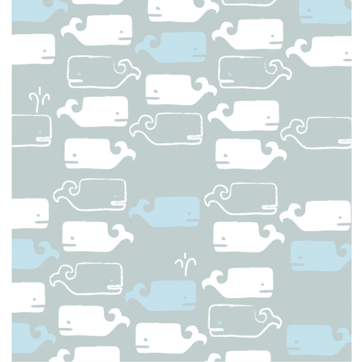 kids whales www25.jpg