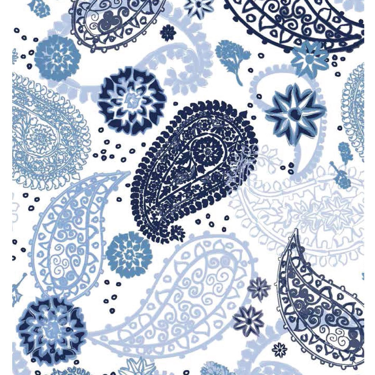 ink-gbl_paisley mix blue www25.jpg