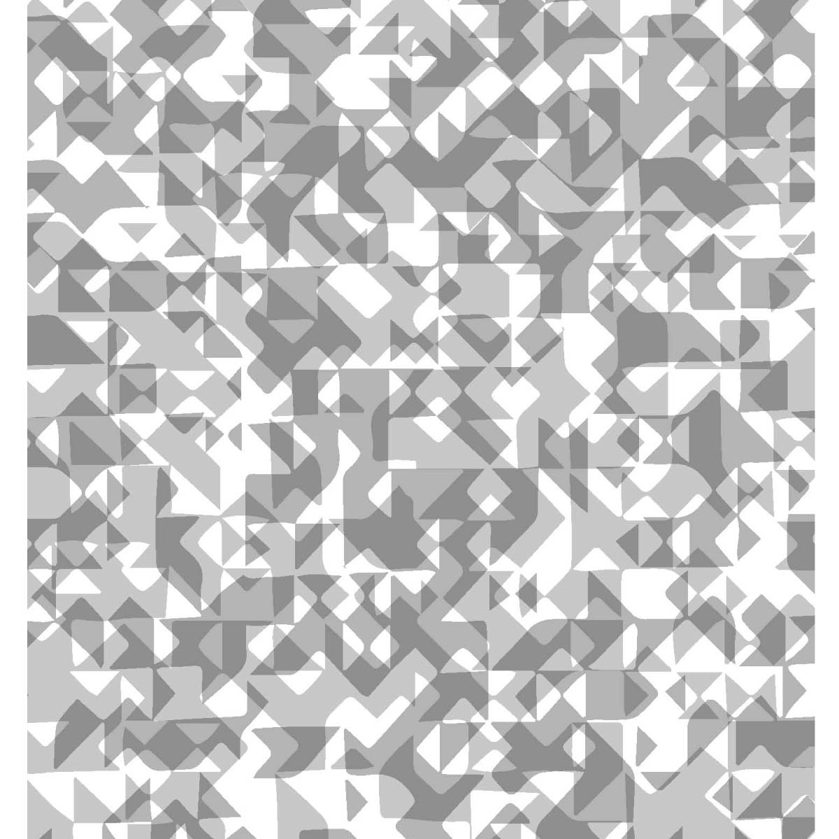 23-fractal bxw transp www25.jpg