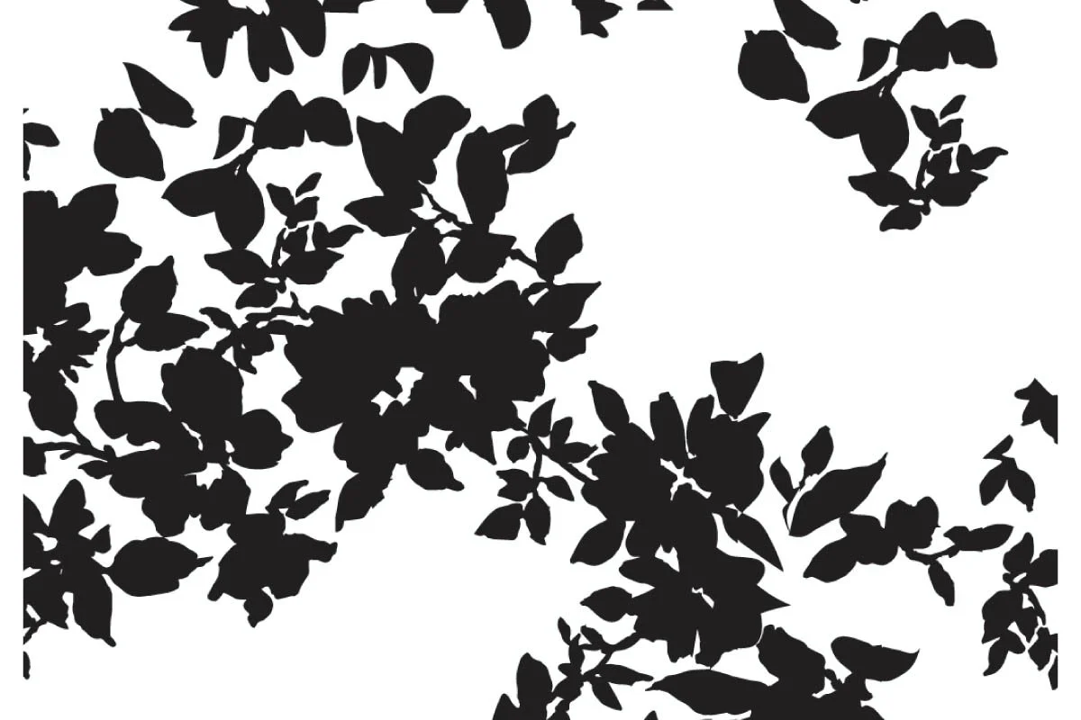 fl 1010 deconstructed bxw www25.jpg