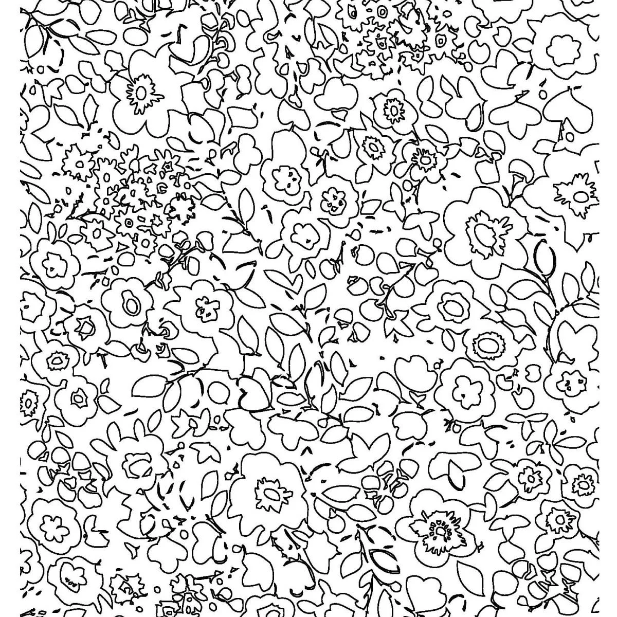 fl24-linear liberty print bxw www25.jpg
