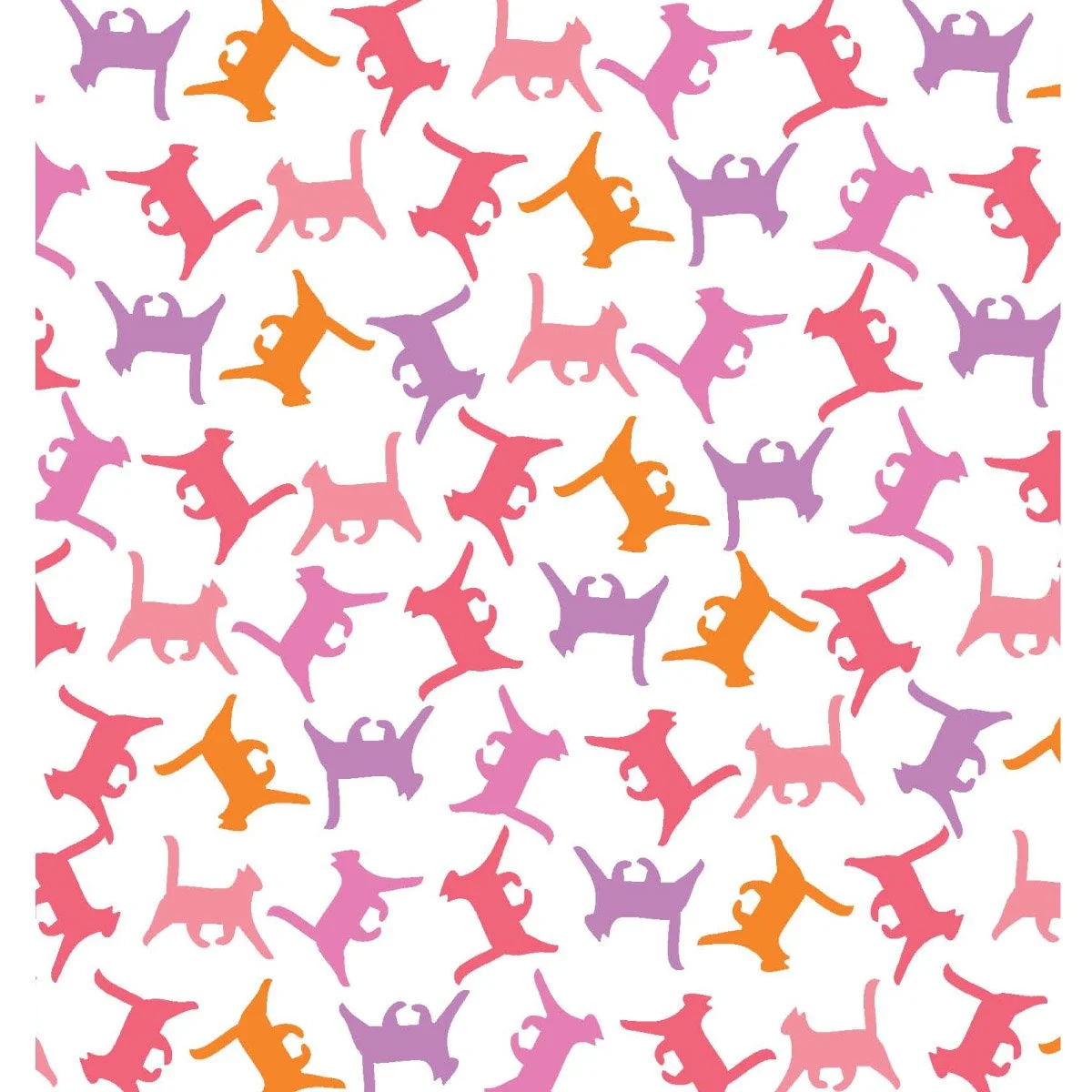 s15_CO_cartwheel cats www25.jpg