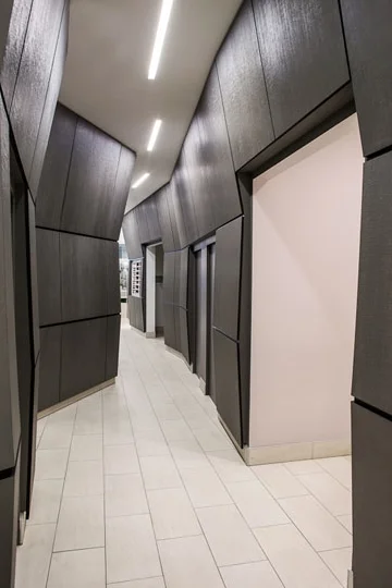 hall single shot.jpg