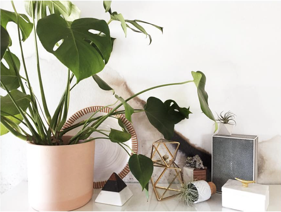 Screen Shot 2016-05-25 at 9.20.43 AM.png