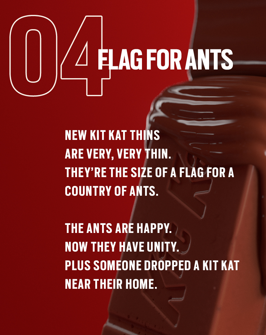 04 Flag for ants.png