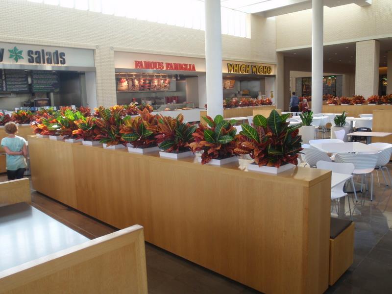 northpark mall food court