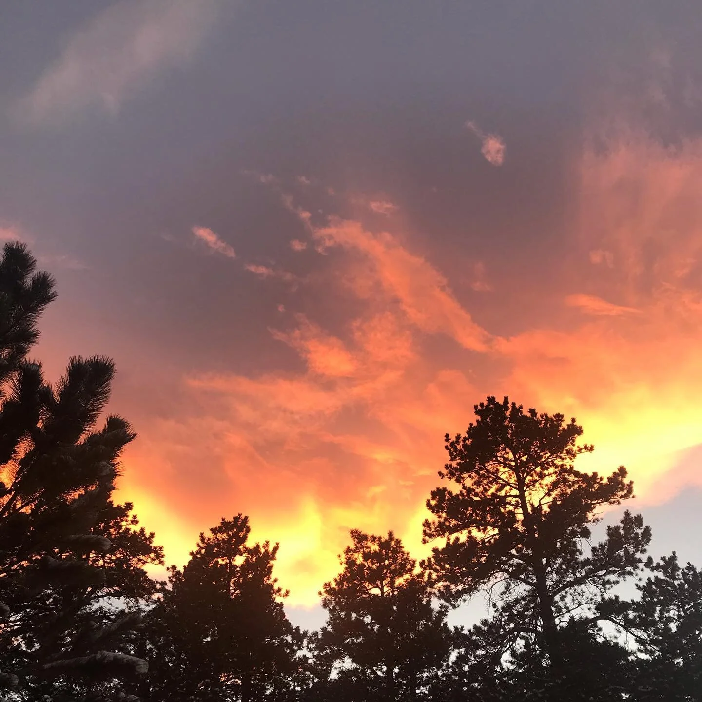 Thanks for the light show #colorado so happy to be back!
#estespark #workfromhome #holiday