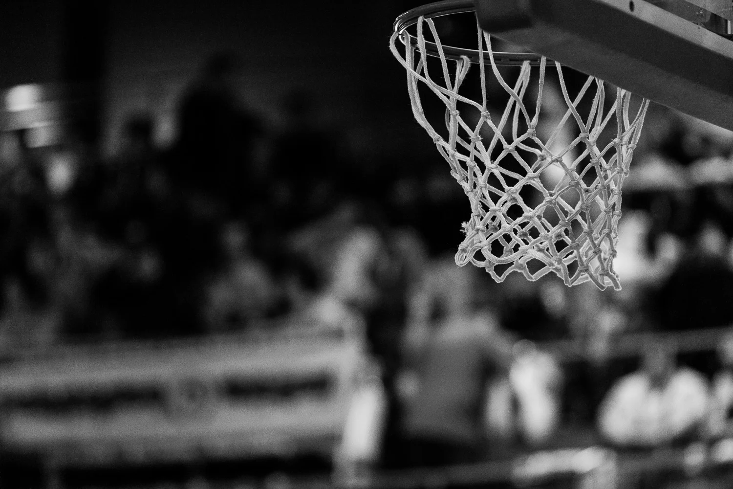BBL 2012/2013 - Phoenix Hagen vs. Eisbären Bremerhaven