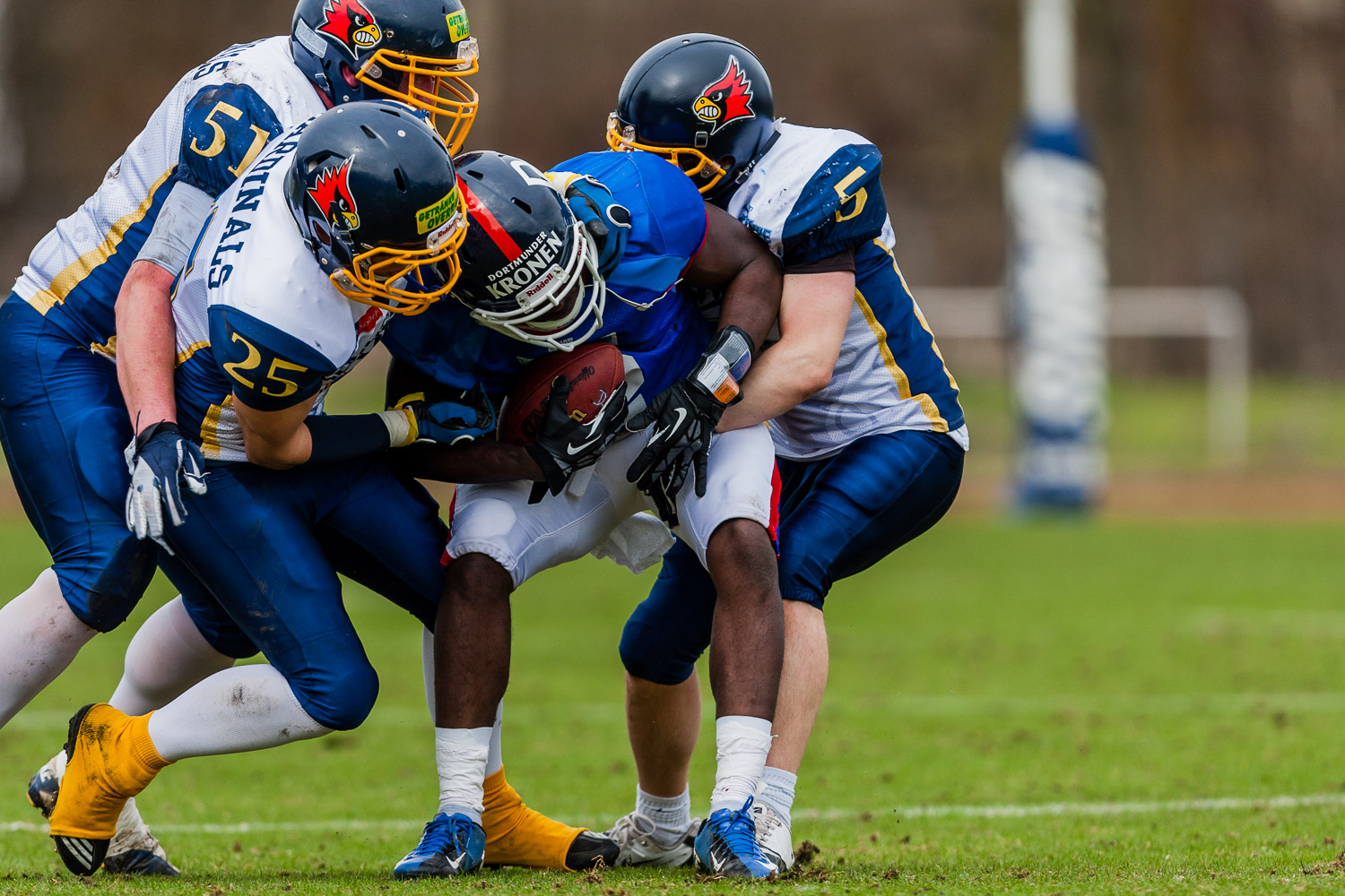 Reginalliga NRW 2013 - Dortmund Giants vs. Assindia Cardinals