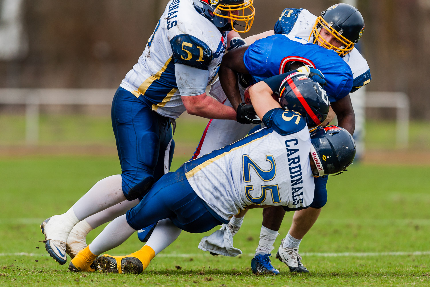 Reginalliga NRW 2013 - Dortmund Giants vs. Assindia Cardinals