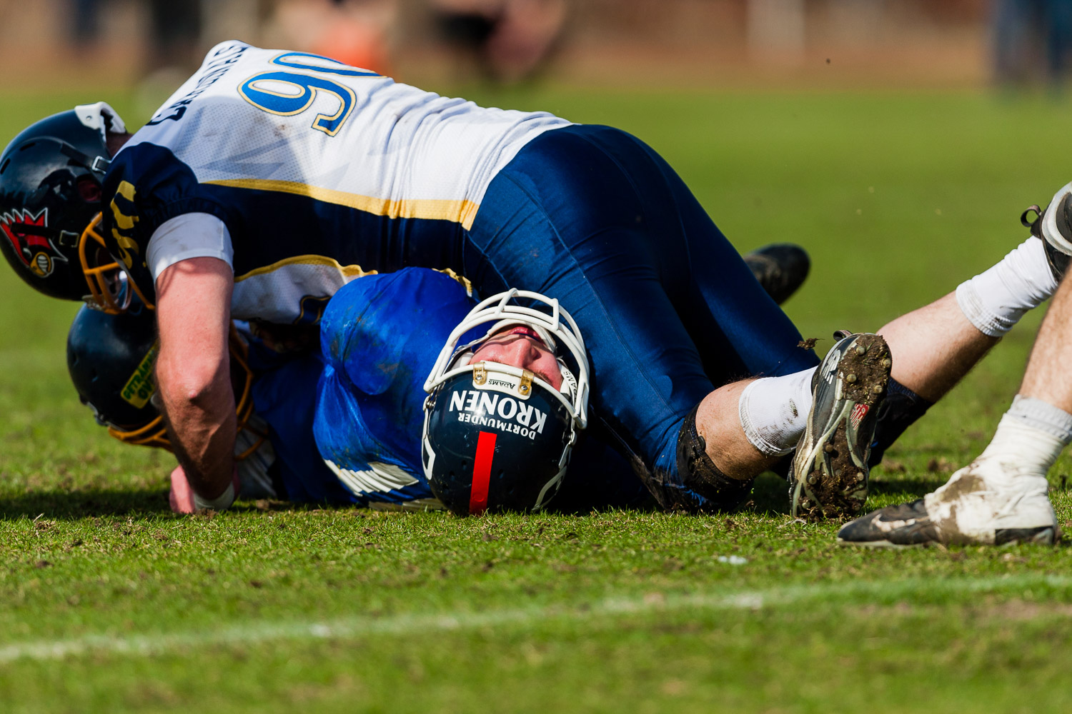 Reginalliga NRW 2013 - Dortmund Giants vs. Assindia Cardinals