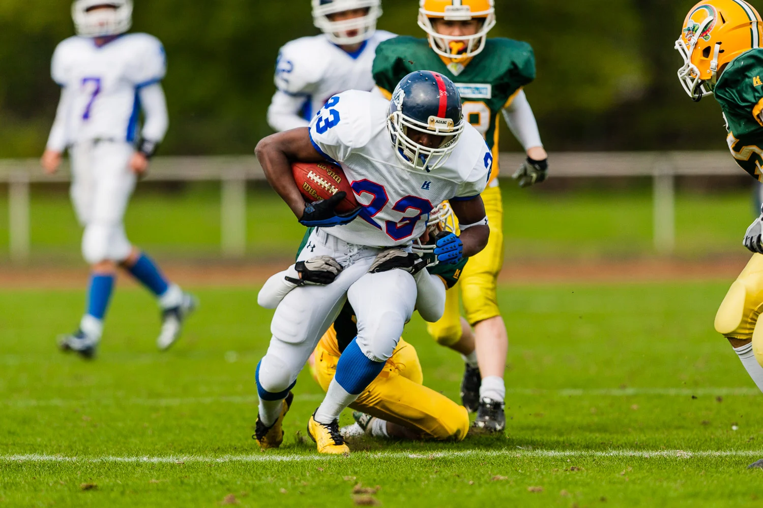 GFLJ 2013 - Dortmund Giants U19 vs. Cologne Crocodiles U19