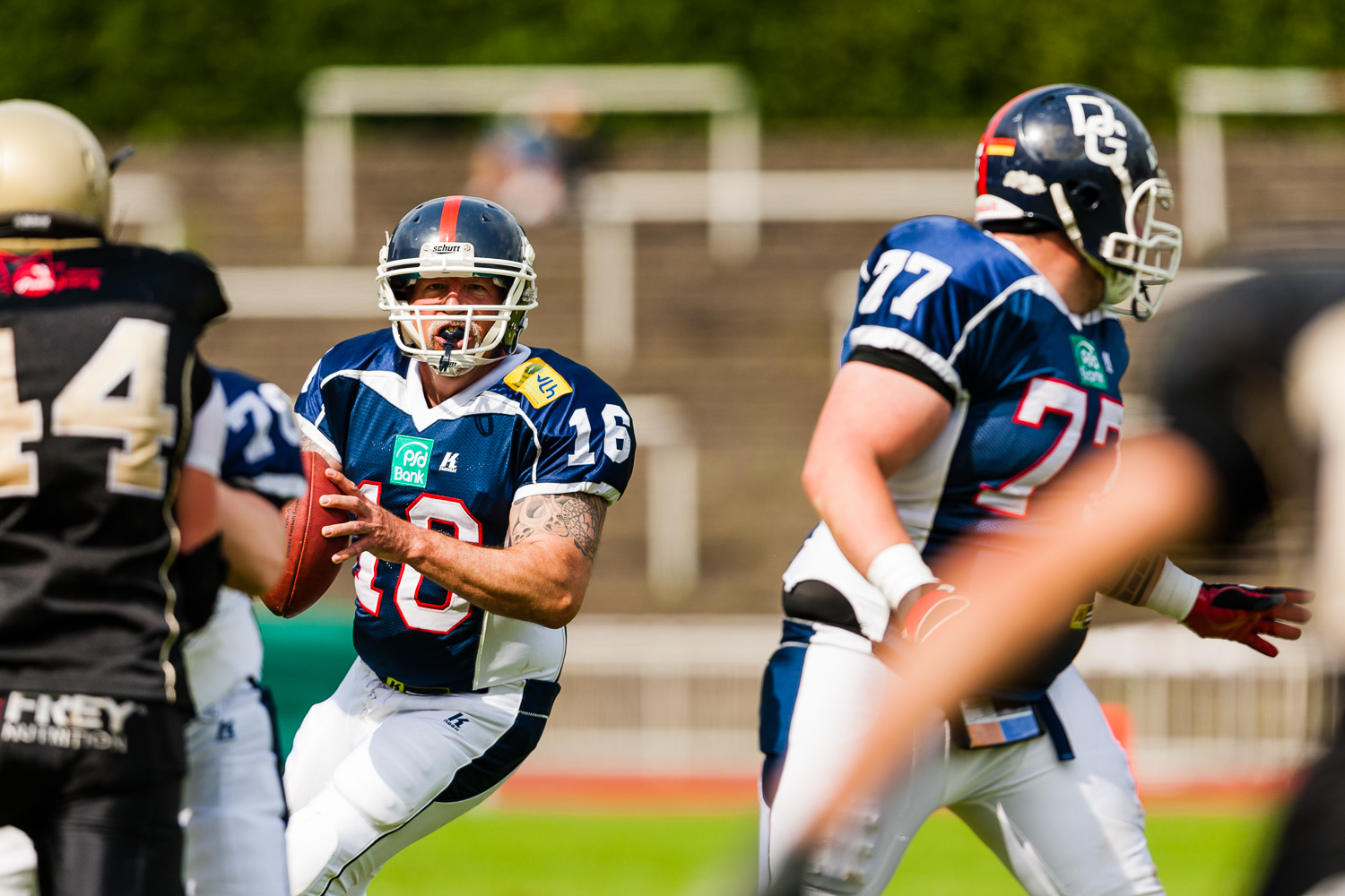 Reginalliga NRW 2013 - Dortmund Giants vs. Paderborn Dolphins