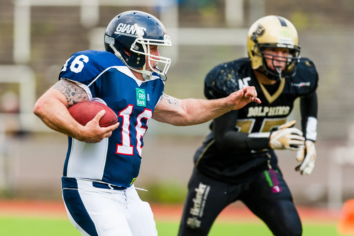 Reginalliga NRW 2013 - Dortmund Giants vs. Paderborn Dolphins