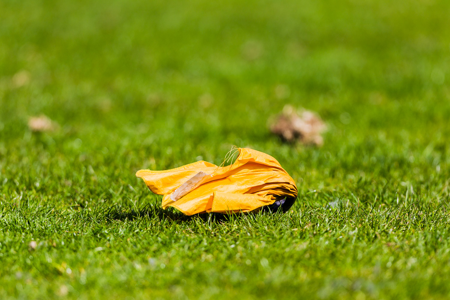 Oberliga NRW 2015 - Dortmund Giants vs. Gelsenkirchen Devils