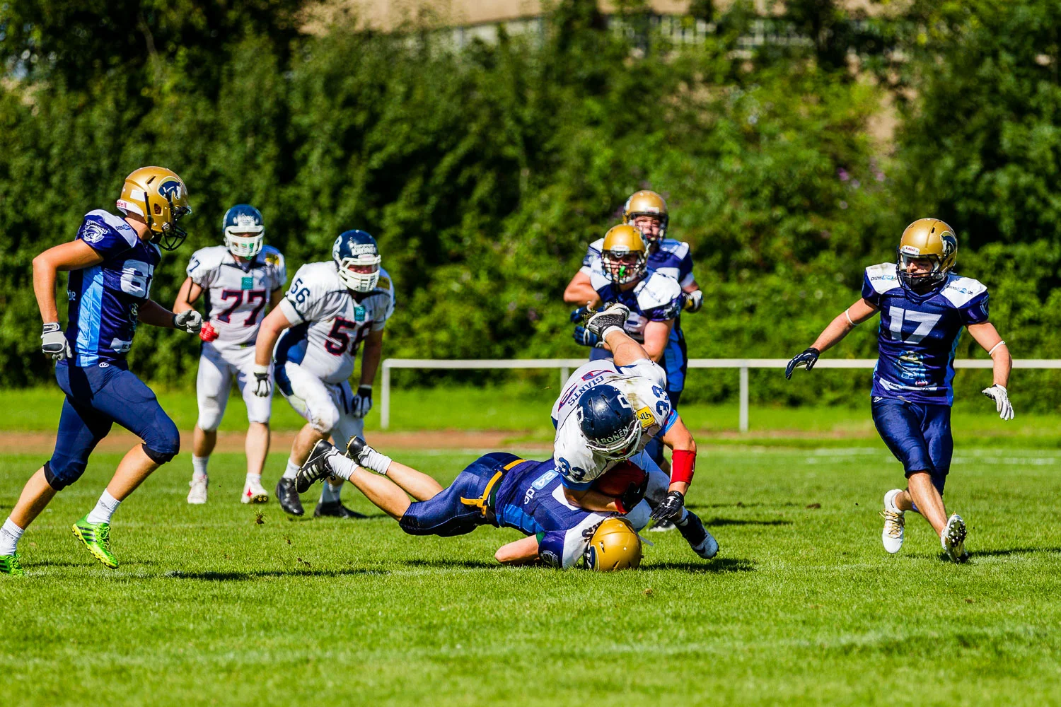 Oberliga NRW 2015 - Dortmund Giants vs. Schiefbahn Riders