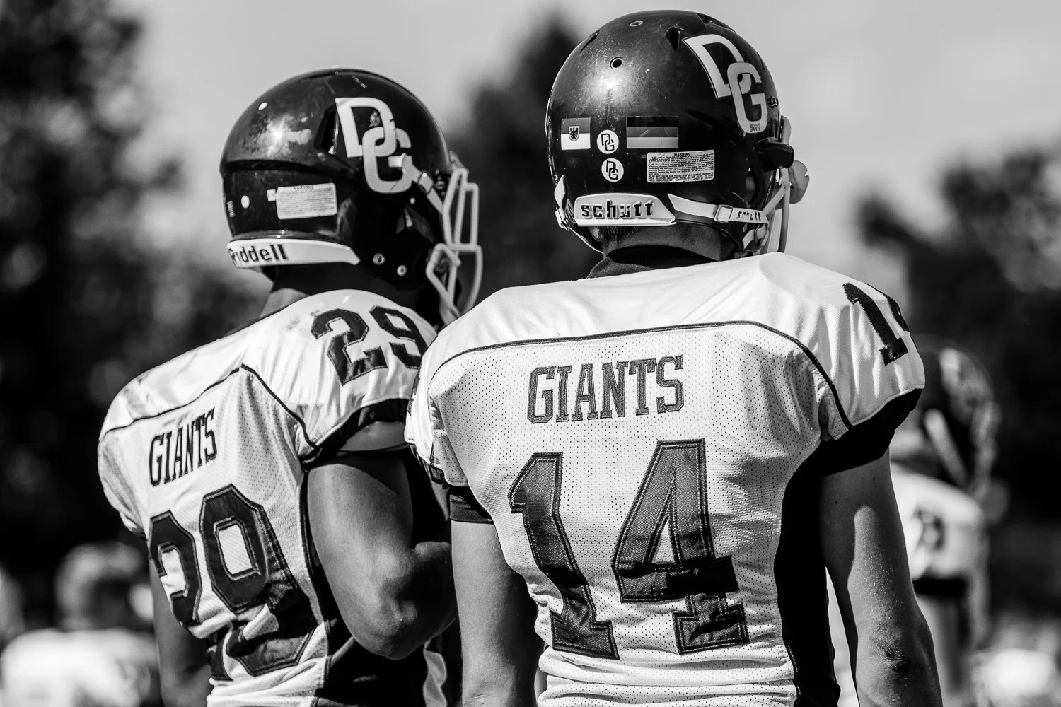 Oberliga NRW 2015 - Dortmund Giants vs. Schiefbahn Riders
