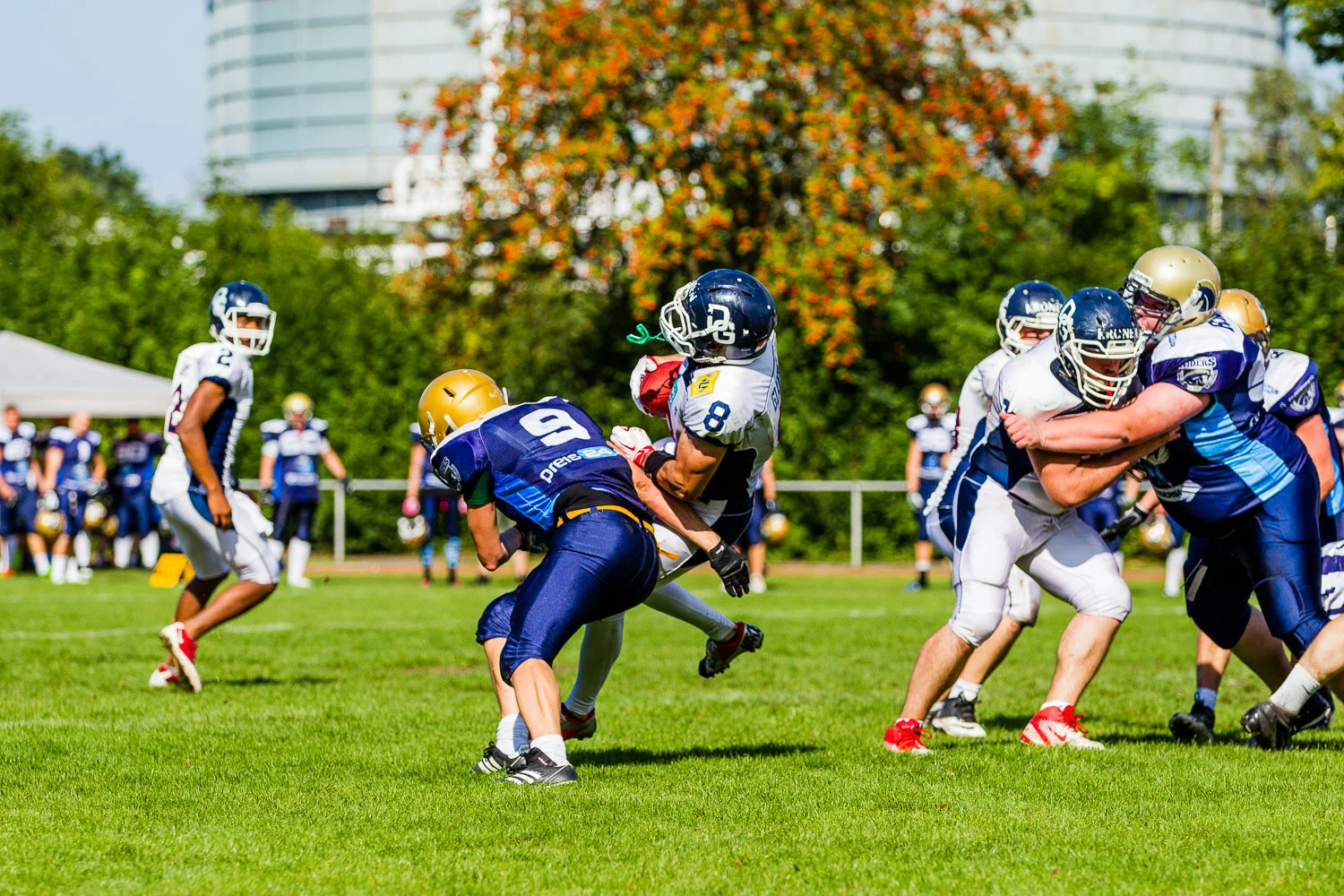 Oberliga NRW 2015 - Dortmund Giants vs. Schiefbahn Riders