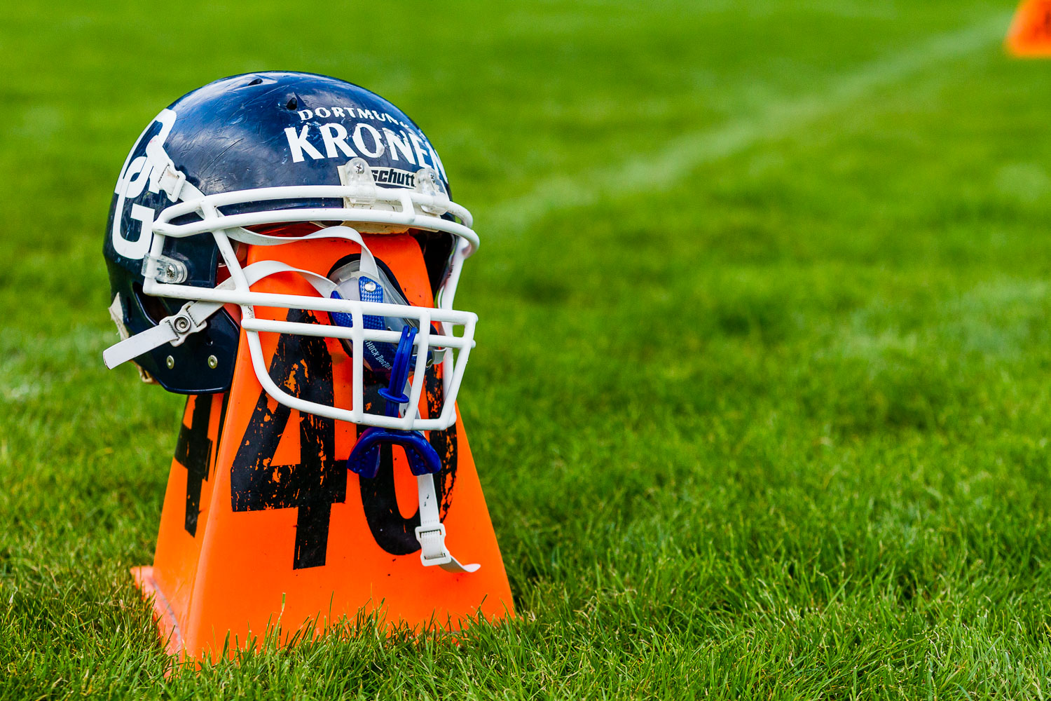 Oberliga NRW 2015 - Dortmund Giants vs. Schiefbahn Riders