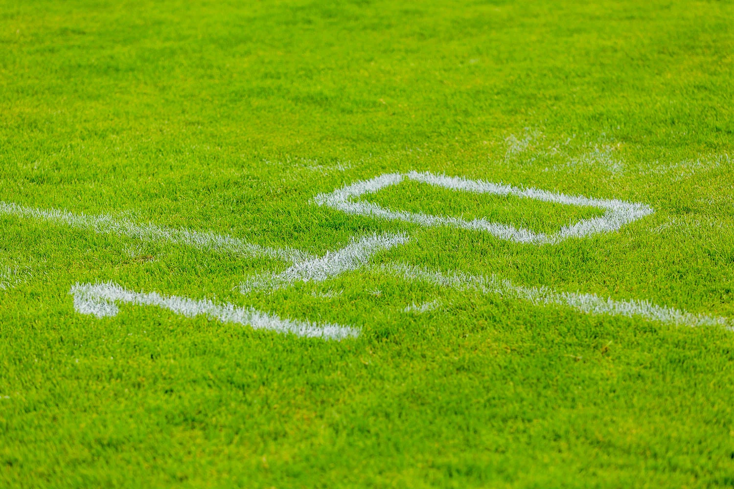 Junior Bowl XXXIV - Cologne Crocodiles U19 vs. Dortmund Giants U