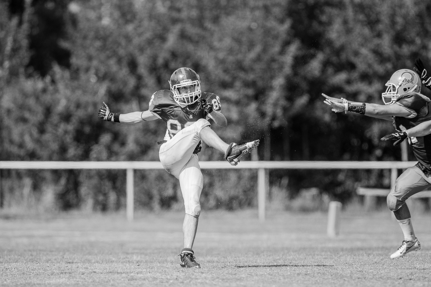 GFLJ 2015 - Dortmund Giants U19 vs. Cologne Crocodiles U19