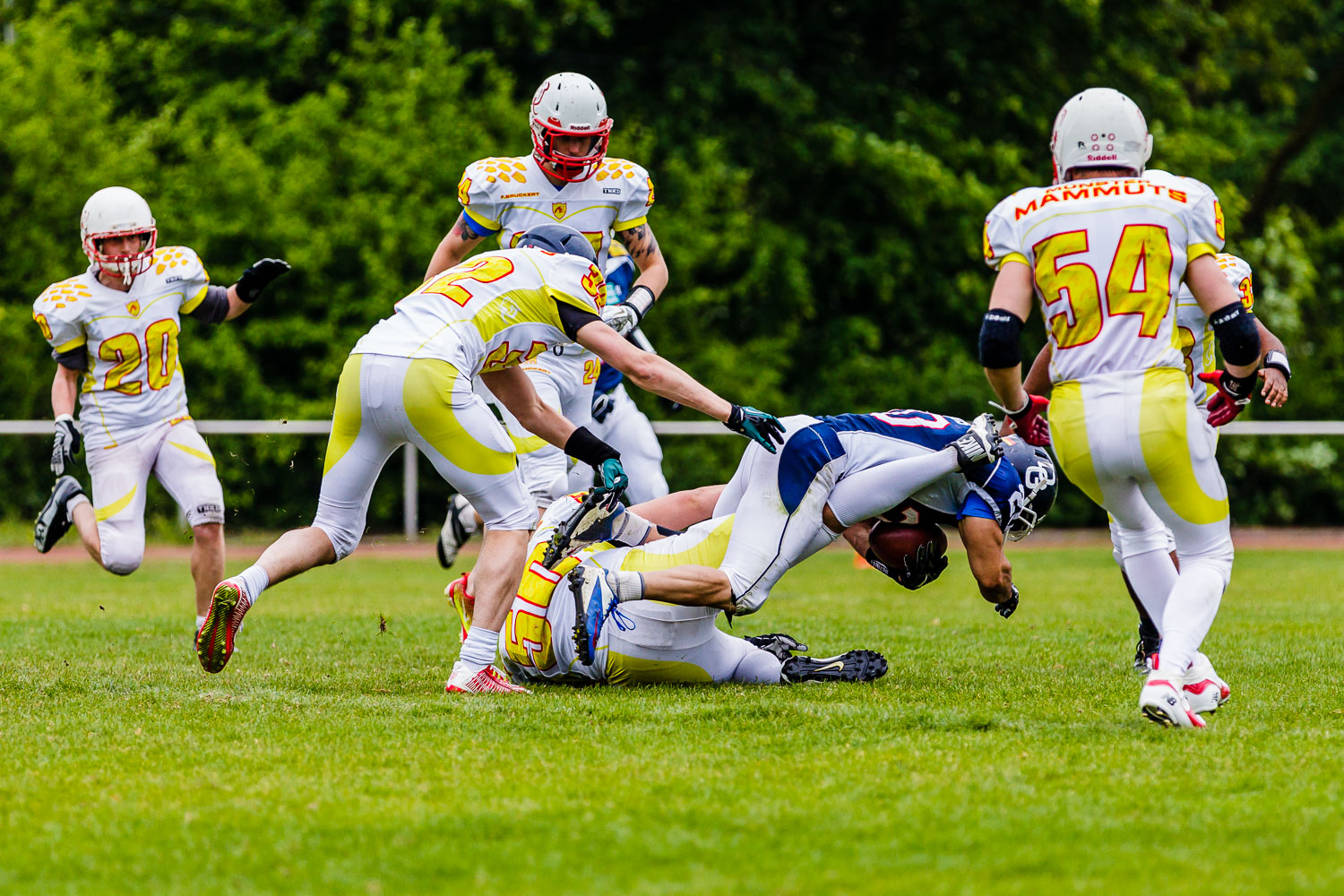 Oberliga NRW 2015 - Dortmund Giants vs. Münster Mammuts