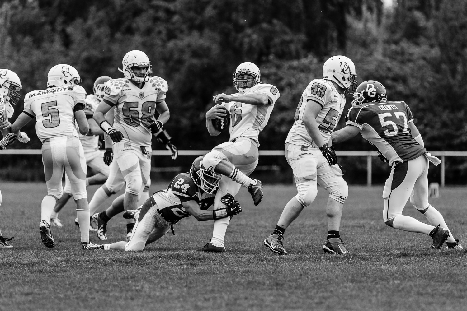 Oberliga NRW 2015 - Dortmund Giants vs. Münster Mammuts