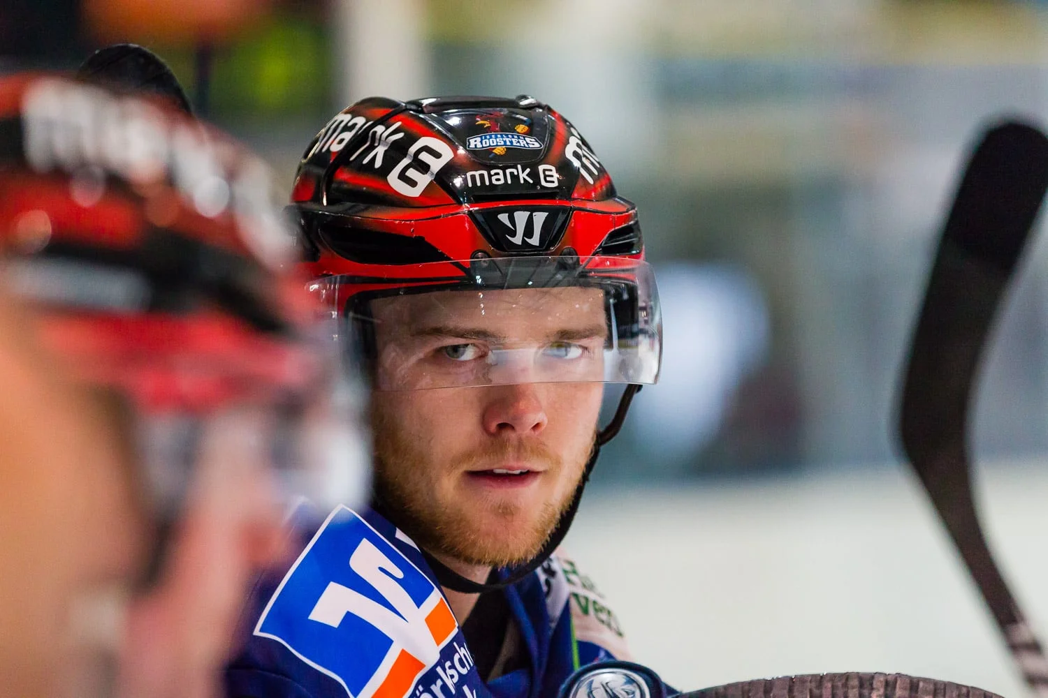 Eishockey - DEL - Iserlohn Roosters - Hamburg Freezers