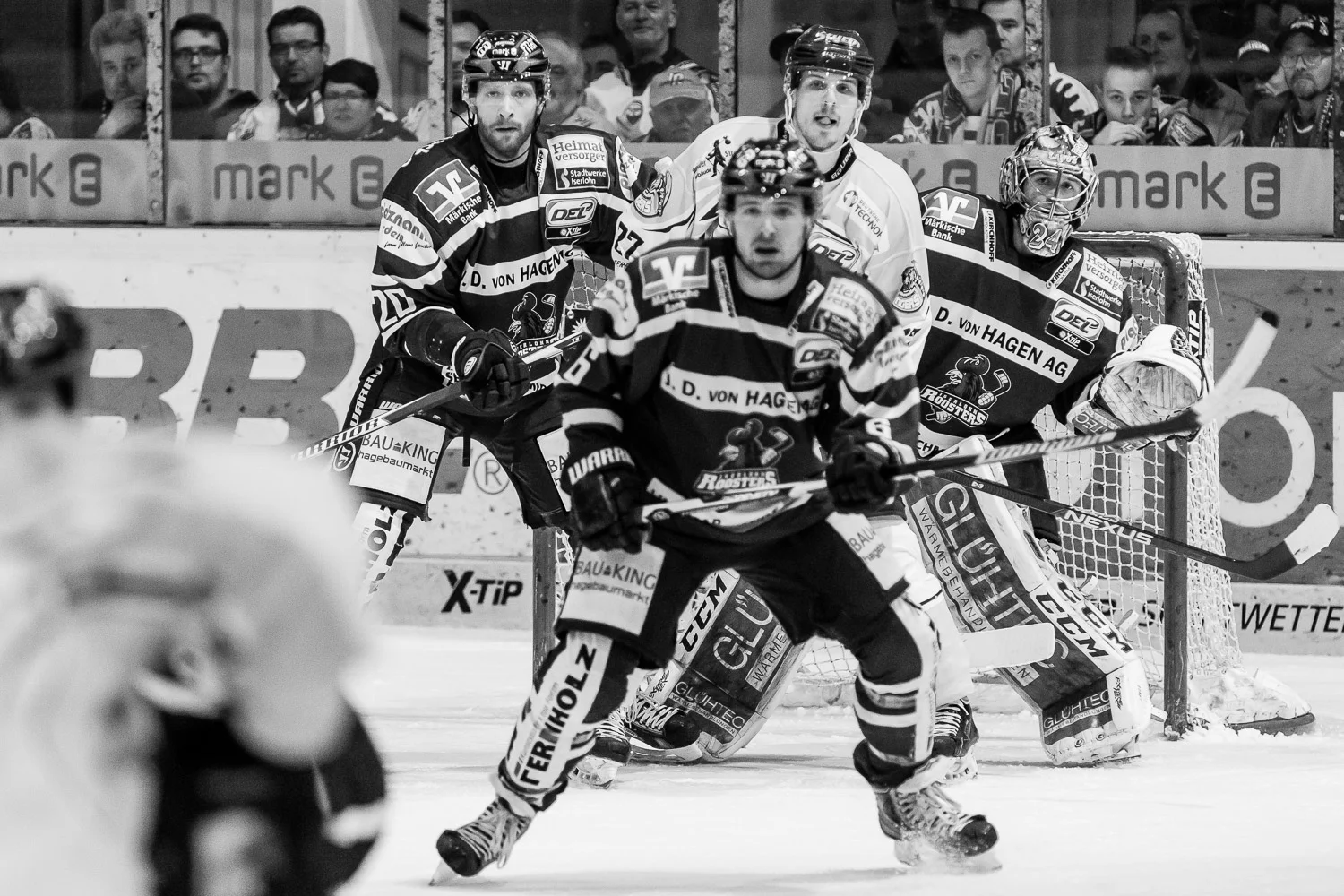 Eishockey - DEL - Iserlohn Roosters - Straubing Tigers
