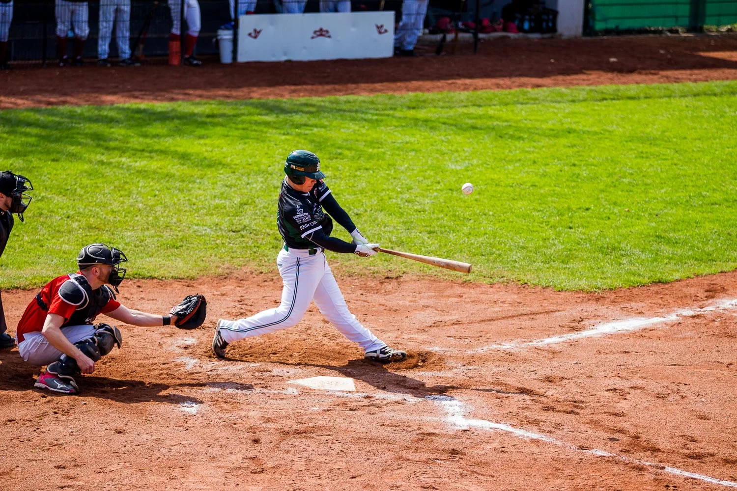 Baseball - Bundesliga - Dortmund Wanderers - Solingen Aligators