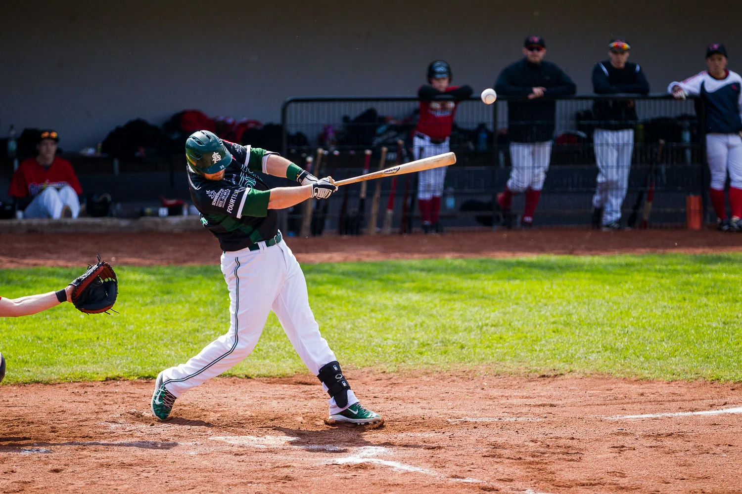 Baseball - Bundesliga - Dortmund Wanderers - Solingen Aligators
