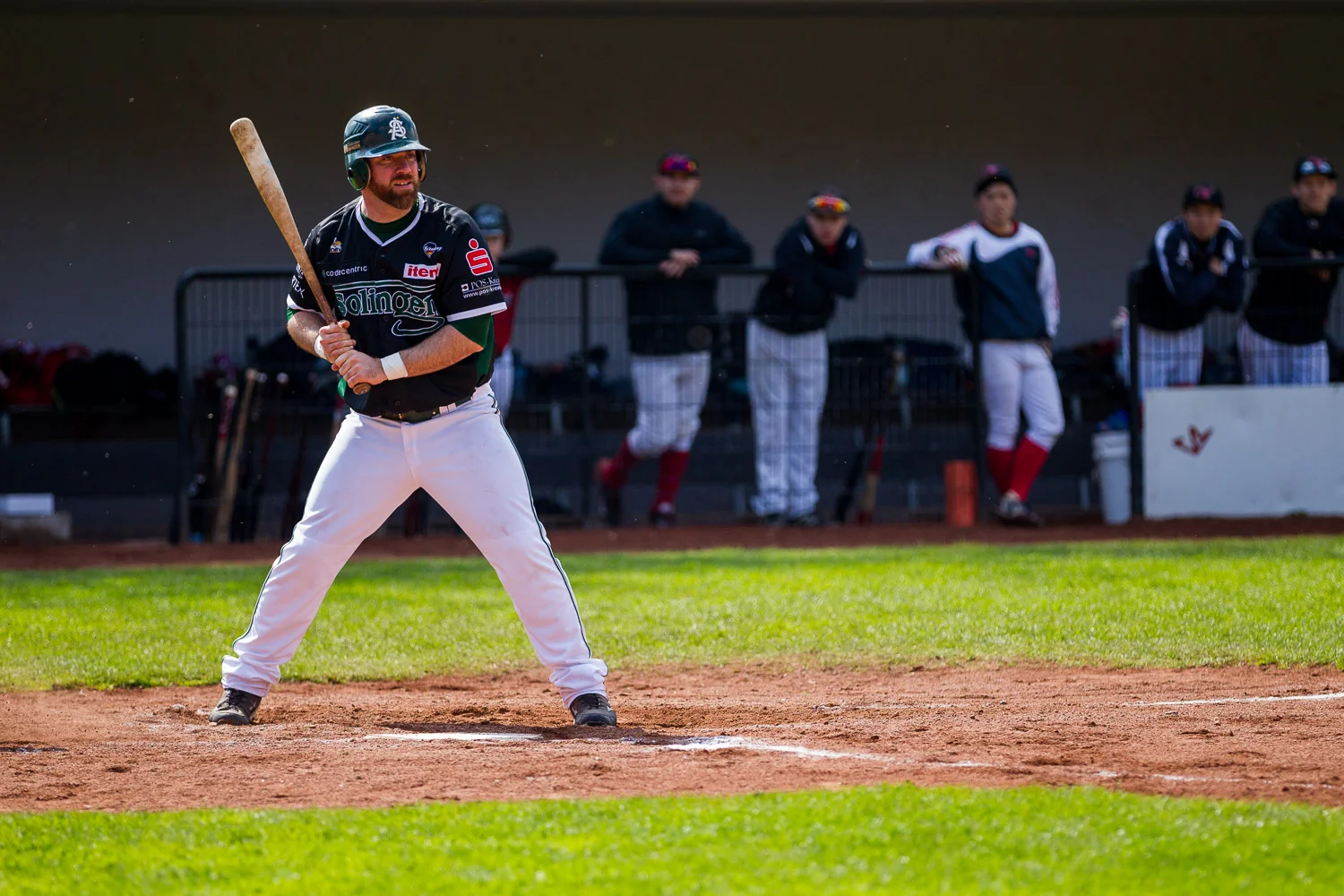 Baseball - Bundesliga - Dortmund Wanderers - Solingen Aligators
