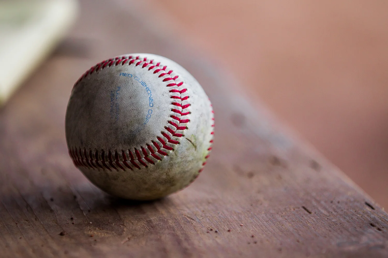 Baseball - Bundesliga - Dortmund Wanderers - Solingen Aligators